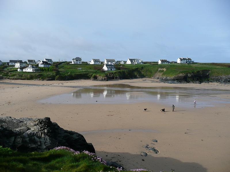 P1000797- Balade matinale a Treyarnon bay.JPG - Balade matinale à Treyarnon bay